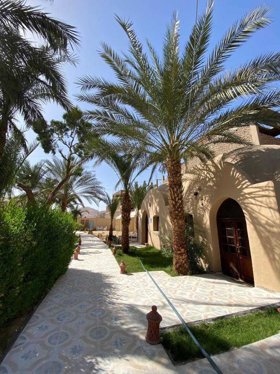 ホテル Sekhmet Retreat Centre ルクソール エクステリア 写真