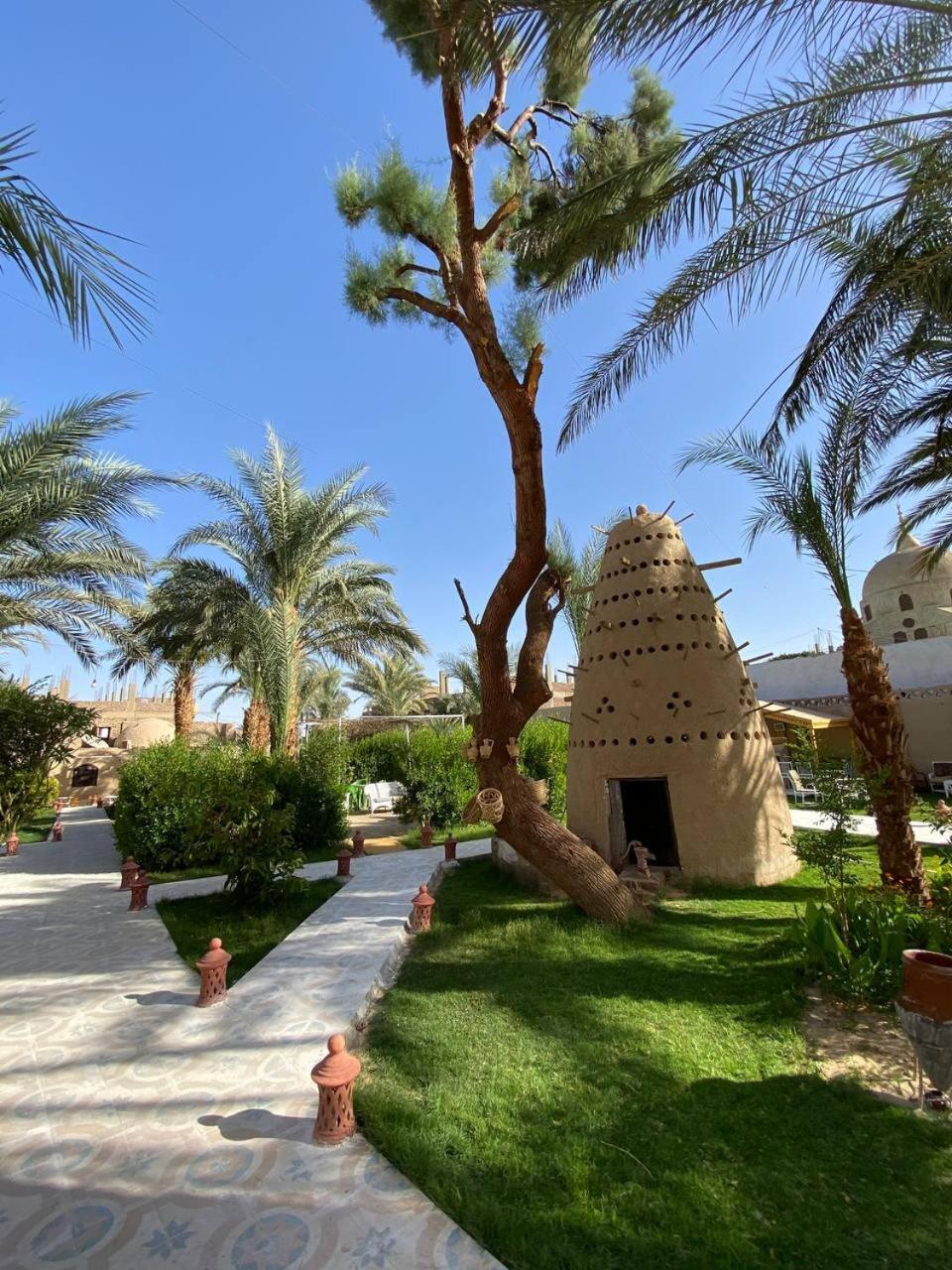 ホテル Sekhmet Retreat Centre ルクソール エクステリア 写真