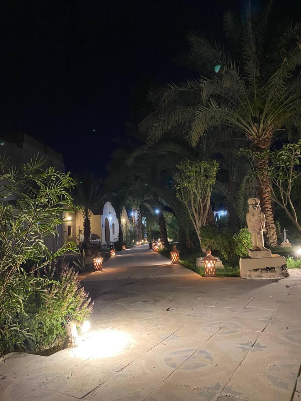 ホテル Sekhmet Retreat Centre ルクソール エクステリア 写真